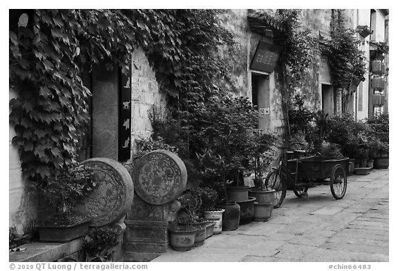 Houses iwth ivy. Hongcun Village, Anhui, China (black and white)