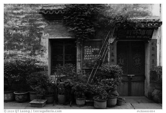 Facade with potted plants. Hongcun Village, Anhui, China (black and white)