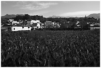 Field and village. Hongcun Village, Anhui, China ( black and white)