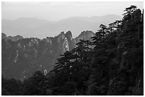 Forest and peaks. Huangshan Mountain, China ( black and white)