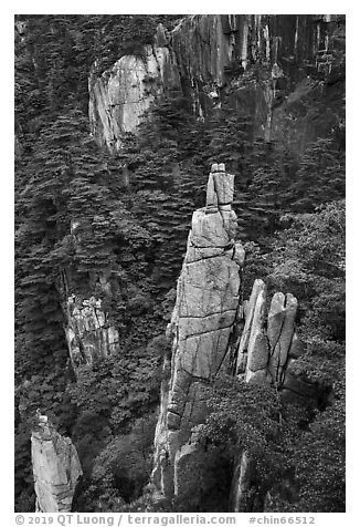Granite spires rising from forest. Huangshan Mountain, China (black and white)