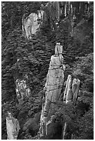 Granite spires rising from forest. Huangshan Mountain, China ( black and white)
