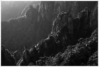 Granite spires with lush vegetation. Huangshan Mountain, China ( black and white)