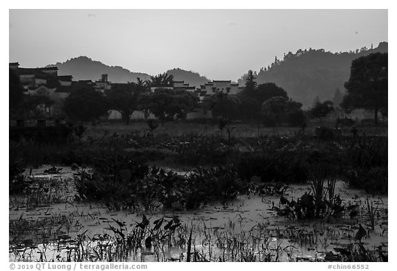Pond and village at sunrise. Xidi Village, Anhui, China (black and white)