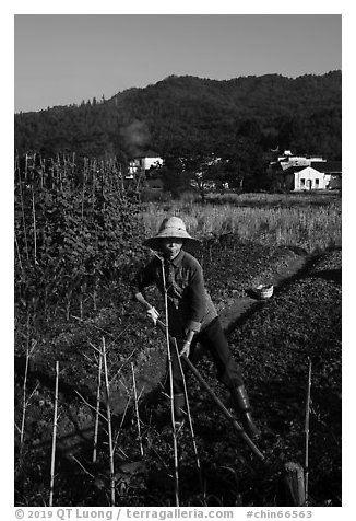 Woman tilling fields with village in background. Xidi Village, Anhui, China (black and white)