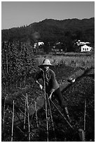 Woman tilling fields with village in background. Xidi Village, Anhui, China ( black and white)