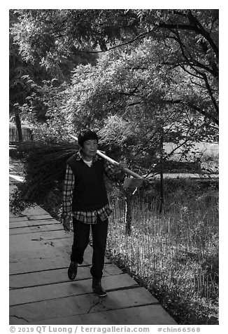 Woman with harvested bunch. Xidi Village, Anhui, China (black and white)