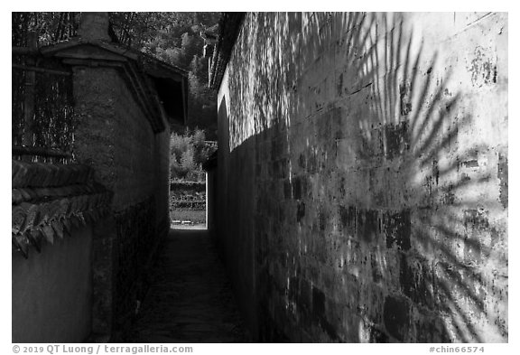 Plant shadow and alley. Xidi Village, Anhui, China (black and white)