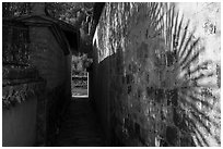 Plant shadow and alley. Xidi Village, Anhui, China ( black and white)