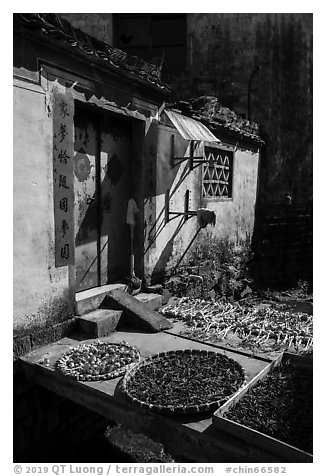 Harvest drying in front of village house. Xidi Village, Anhui, China (black and white)