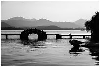 Yongjin Bridge and water buffalo, West Lake. Hangzhou, China ( black and white)
