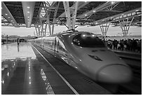 Bullet train. Shanghai, China ( black and white)