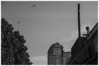 Man flying kite, the Bund. Shanghai, China ( black and white)