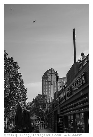 Stores on the Bund, with kites. Shanghai, China (black and white)