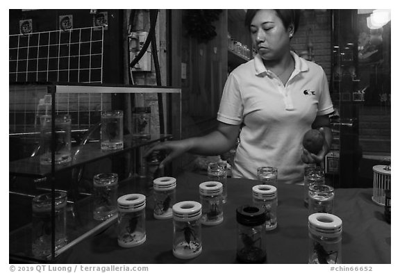 Woman selling insects. Shanghai, China (black and white)