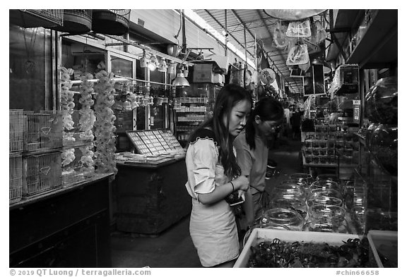 Young women shopping at Bird and Insect Market. Shanghai, China (black and white)