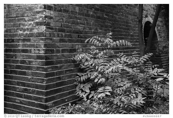 Old city wall. Shanghai, China (black and white)