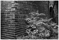 Old city wall. Shanghai, China ( black and white)