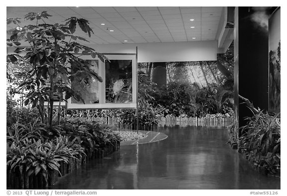 Room with plants and nature photos, Taoyuan Airport. Taiwan