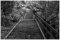 Stairs leading up Elephant Mountain. Taipei, Taiwan ( black and white)