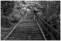 Stairs leading up Elephant Mountain. Taipei, Taiwan (black and white)