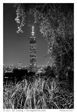 Taipei 101 seen through vegetation at night. Taipei, Taiwan (black and white)