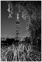 Taipei 101 seen through vegetation at night. Taipei, Taiwan (black and white)