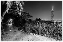 Path on Elephant Mountain with Taipei 101 in the distance at night. Taipei, Taiwan ( black and white)