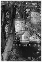 Paper lanterns, Confuscius Temple. Taipei, Taiwan ( black and white)