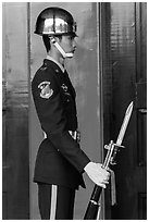 Sentry, Martyrs Shrine. Taipei, Taiwan (black and white)