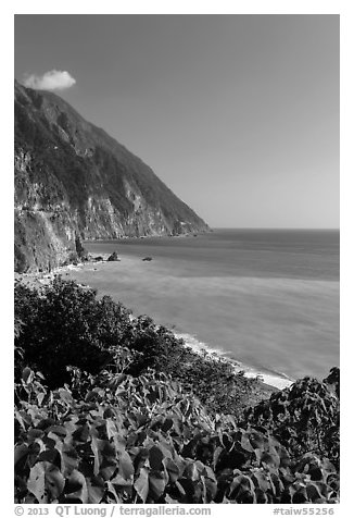 Sea cliffs and Pacific Ocean. Taroko National Park, Taiwan (black and white)