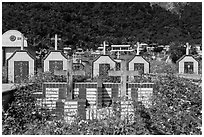 Tombs below lush cliff, Chongde. Taiwan (black and white)