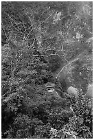 Trees, temple, and cliffs, Taroko Gorge. Taroko National Park, Taiwan ( black and white)