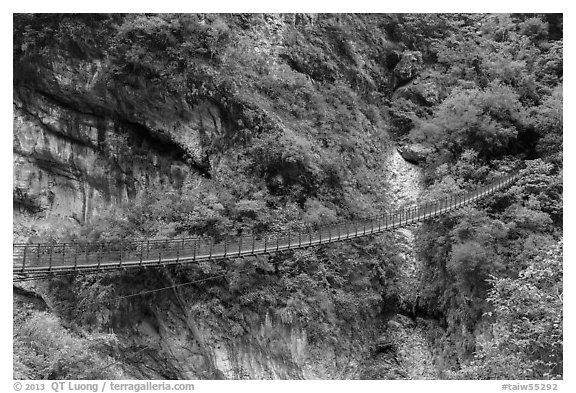 Suspension footbridge, Taroko Gorge. Taroko National Park, Taiwan (black and white)