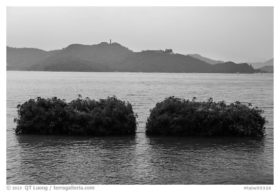 Floating gardens where plants are cultivated. Sun Moon Lake, Taiwan (black and white)