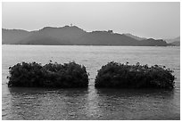 Floating gardens where plants are cultivated. Sun Moon Lake, Taiwan ( black and white)