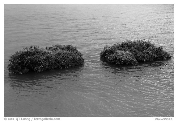 Floating rafts for cultivation. Sun Moon Lake, Taiwan