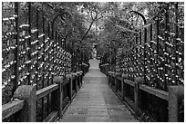 Stairs to temple lined up with blessing wind chimes. Sun Moon Lake, Taiwan ( black and white)