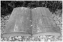 Giant book sculpture. Sun Moon Lake, Taiwan ( black and white)