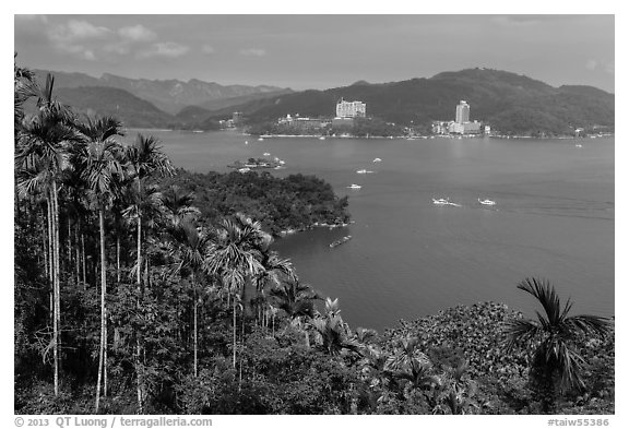 Palm trees, lake, and Sun Moon Lake Village. Sun Moon Lake, Taiwan