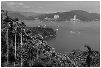 Palm trees, lake, and Sun Moon Lake Village. Sun Moon Lake, Taiwan ( black and white)