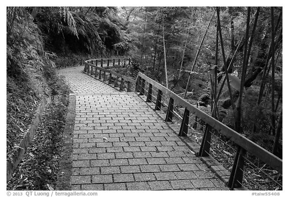 Path on Shabalan Mountain. Sun Moon Lake, Taiwan (black and white)