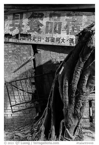 Roots and sign at night. Lukang, Taiwan (black and white)