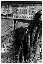 Roots and sign at night. Lukang, Taiwan (black and white)