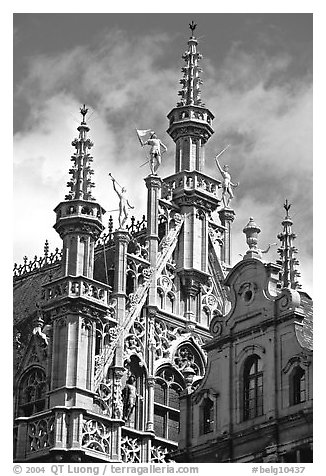 Roof of King's house, Grand Place. Brussels, Belgium (black and white)