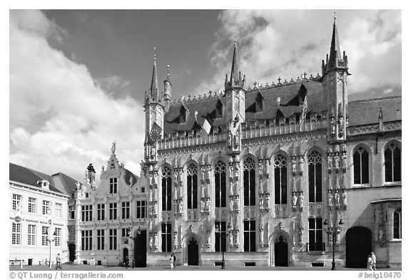 Gothic Town hall. Bruges, Belgium (black and white)