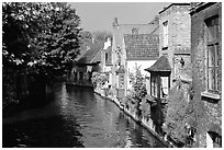 Canal lined with houses and trees. Bruges, Belgium ( black and white)