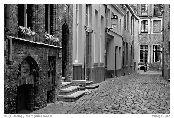 Coblestone street. Bruges, Belgium (black and white)