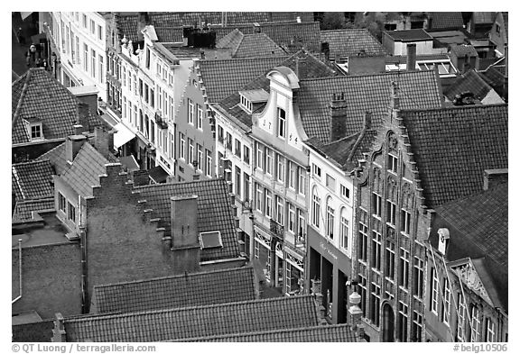 Red tile rooftops and facades. Bruges, Belgium (black and white)
