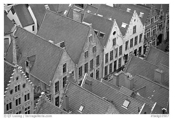 Rooftops. Bruges, Belgium (black and white)